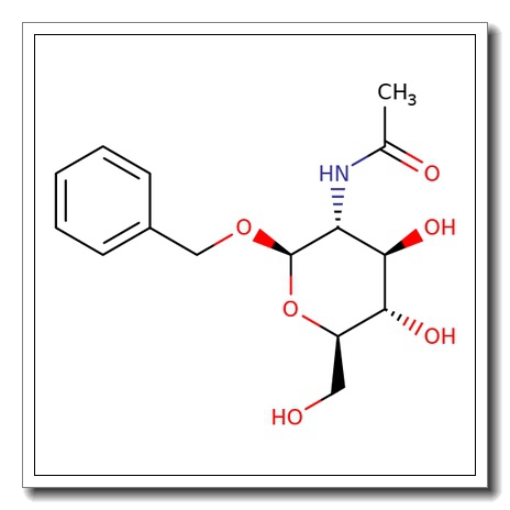 Benzyl 2-acetamido-2-deoxy-b-D-glucopyranoside CAS 13343-67-4