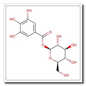1-O-Galloyl-b-D-glucose
