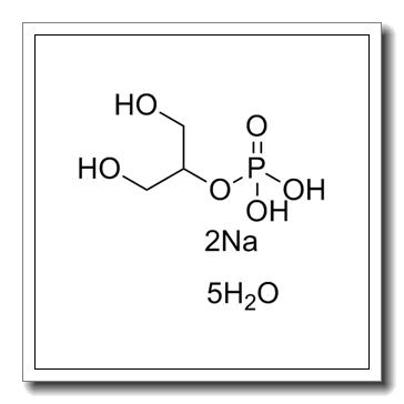 beta-glycerol phosphate disodium salt CAS 13408-09-8