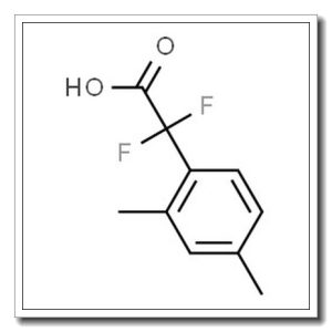 2-(2,4-二甲基苯基)-2,2-二氟乙酸