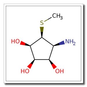 Mannostatin A hydrochloride