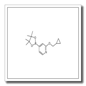 2-(cyclopropylmethoxy)-4-(4,4,5,5-tetramethyl-1,3,2-dioxaborolan-2-yl)pyridine