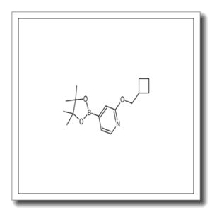 2-(cyclobutylmethoxy)-4-(4,4,5,5-tetramethyl-1,3,2-dioxaborolan-2-yl)pyridine