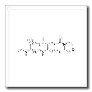 GNE-7915
