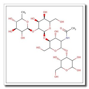 Blood group H tetraose type II