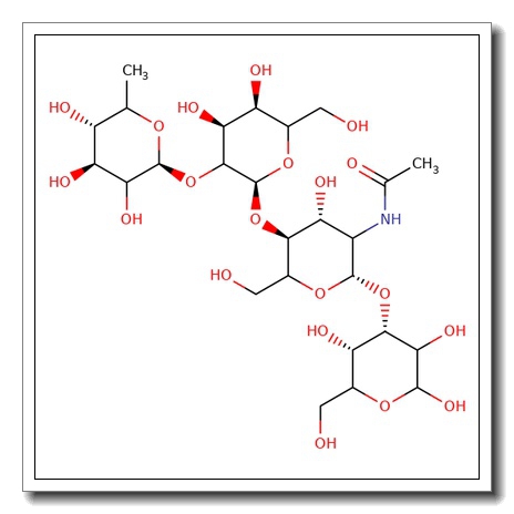 Blood group H tetraose type II