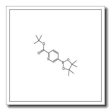 tert-butyl 5-(4,4,5,5-tetramethyl-1,3,2-dioxaborolan-2-yl)pyridine-2-carboxylate CAS 1354356-24-3