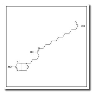 12-[5-[(3aS,4S,6aR)-2-oxo-1,3,3a,4,6,6a-hexahydrothieno[3,4-d]imidazol-4-yl]pentanoylamino]dodecanoic acid
