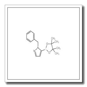 1-苄基-1H-吡唑-5-硼酸频哪醇酯