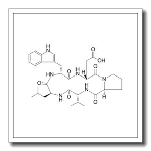 C: DTRP-DASP-PRO-DVAL-LEU