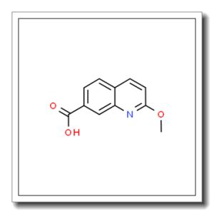2-Methoxyquinoline-7-carboxylic acid