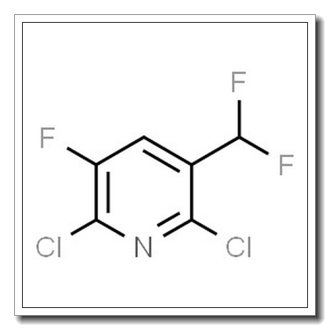 2,6-Dichloro-3-(difluoromethyl)-5-fluoropyridine