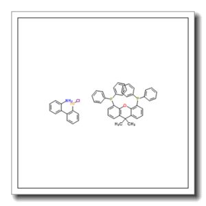 (2′-Amino-2-biphenylyl)(chloro)palladium-(9,9-dimethyl-9H-xanthene-4,5-diyl)bis(diphenylphosphine) (1:1)