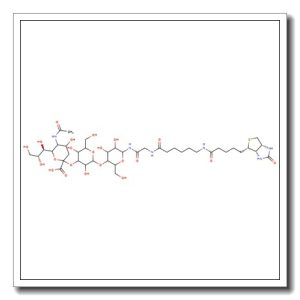 3′-Sialyllactose-sp-biotin