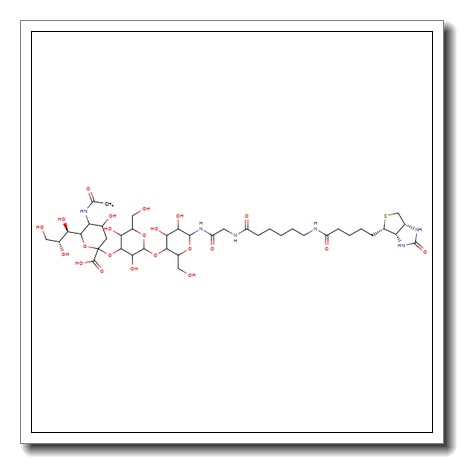 3′-Sialyllactose-sp-biotin