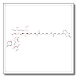6′-Sialyllactose-sp-biotin