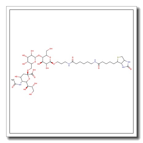 6′-Sialyllactose-sp-biotin