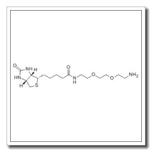 N-生物素-3,6-二氧杂辛烷-1,8-二胺
