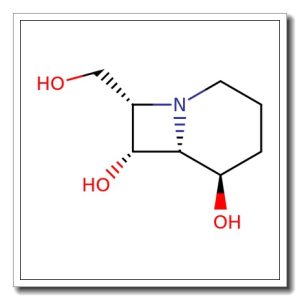 (5R, 6R, 7R, 8S) -8- (HydroxymHthyl) – 1- azabicyclo[4.2.0] octane- 5, 7- diol