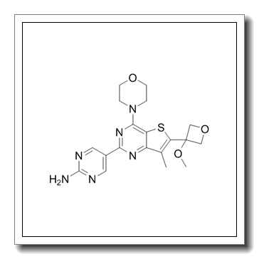 5-(6-(3-methoxyoxetan-3-yl)-7-methyl-4-morpholinothieno[3,2-d]pyrimidin-2-yl)pyrimidin-2-amine CAS 1394076-92-6