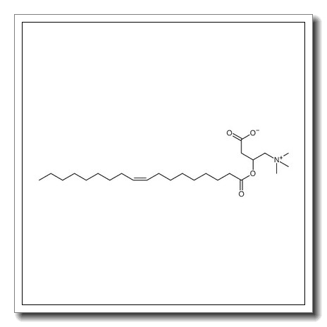 O-oleoylcarnitine
