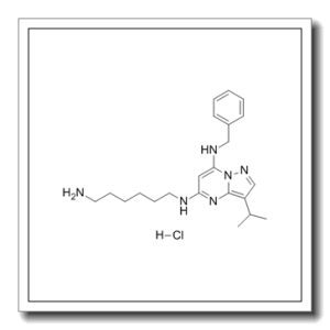 BS 181 盐酸盐