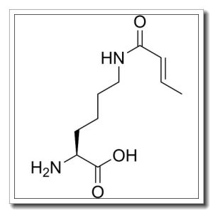 Ε-N-巴豆酰基赖氨酸