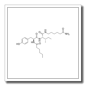 的Dihexa