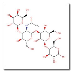 Lacto-N-tetraose – mixture with Lacto-N-neotetraose