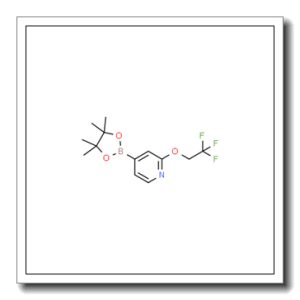 2-三氟乙氧基吡啶-4-吡啶硼酸频哪醇酯