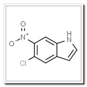 5-Chloro-6-nitro-1H-indole