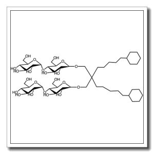 Cys-spacer-Gly-Gly-Tyr-D-Thr-Gly-Phe-Leu-Ser(glucoside)-amide