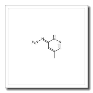 (5-methylpyridazin-3-yl)hydrazine