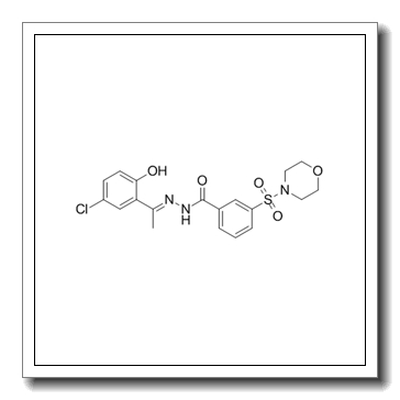 (E)-N′-(1-(5-chloro-2-hydroxyphenyl)ethylidene)-3-(morpholinosulfonyl)benzohydrazide CAS 1423715-09-6