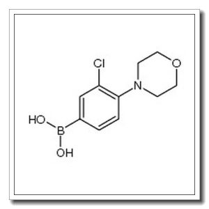 3-氯-4-(4-吗啉基)苯硼酸