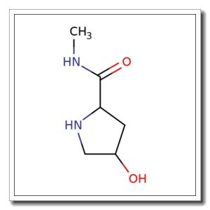 (2S- trans) -4- Hydroxy- N- methyl 2- pyrrolidinecarboxami de