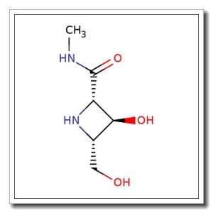 (2S, 3S, 4S) -3- Hydroxy- 4- (hydroxymethyl) – N- methyl- 2- azetidinecarboxamide