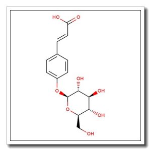 Creatine Gluconate