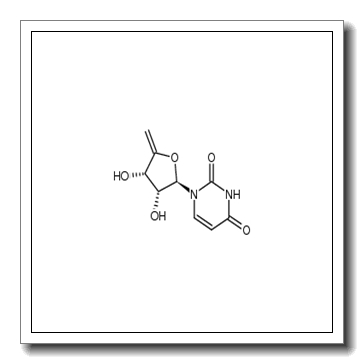 1-(5-Deoxy-β-D-erythro-pento-4-enofuranosyl)uracil