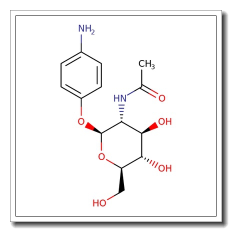 4-Aminophenyl 2-acetamido-2-deoxy-b-D-glucopyranoside