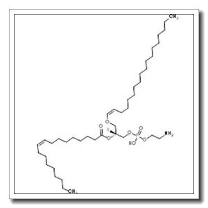 1-(1Z-octadecenyl)-2-(9Z-octadecenoyl)-sn-glycero-3-phosphoethanolamine zwitterion