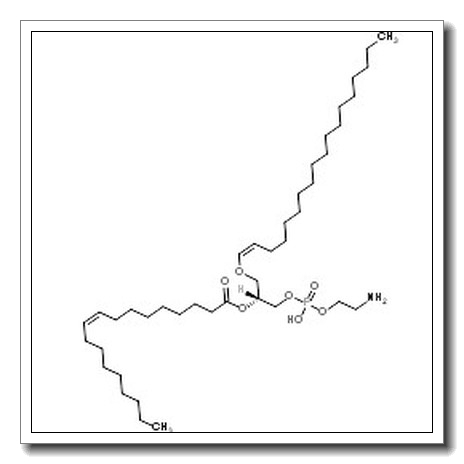 1-(1Z-octadecenyl)-2-(9Z-octadecenoyl)-sn-glycero-3-phosphoethanolamine zwitterion CAS 144371-68-6 