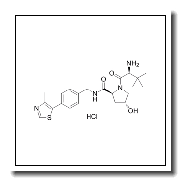 蛋白质降解剂1盐酸盐