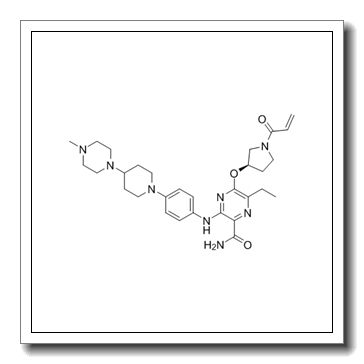 6-Ethyl-3-[[4-[4-(4-methyl-1-piperazinyl)-1-piperidinyl]phenyl]amino]-5-[[(3R)-1-(1-oxo-2-propen-1-yl)-3-pyrrolidinyl]oxy]-2-pyrazinecarboxamide CAS 1448232-80-1