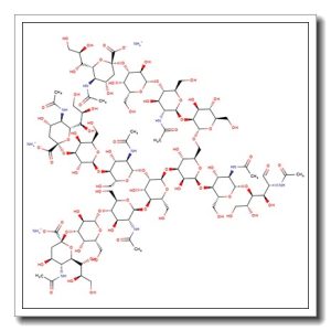 A3 N-Glycan