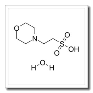 2-(N-吗啉)乙磺酸一水物