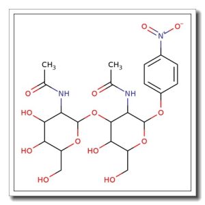 Galnacβ(1-3)GlcNAc-β-PNP
