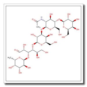 Lacto-N-fucopentaose VI