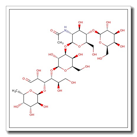 Lacto-N-fucopentaose VI