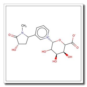 N-(trans-3-Hydroxycotinine)-b-D-glucuronide
